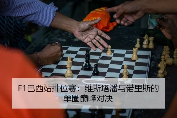 F1巴西站排位赛：维斯塔潘与诺里斯的单圈巅峰对决